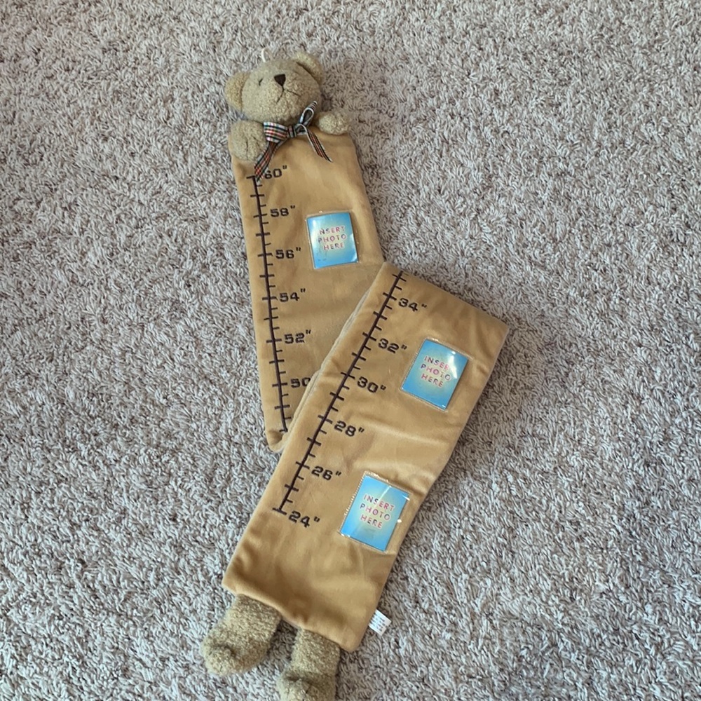 NWOT child’s photo growth chart